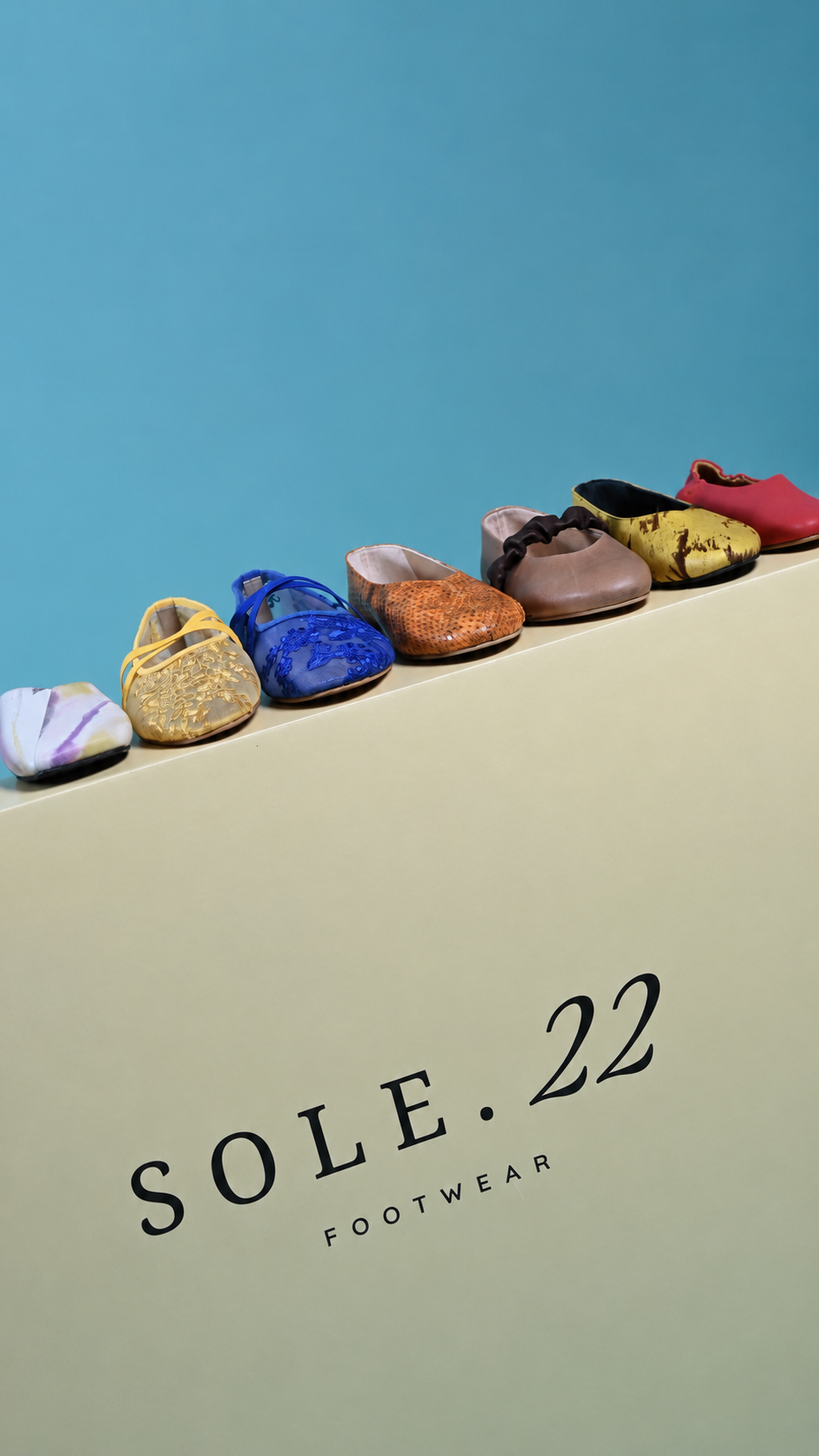 Ballet Flats
