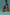 The Python Glove - Apricot Orange